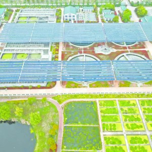 ˮ(w)F(tun)ֲʽ(ch)(xing)ĿͶ