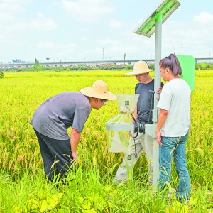 βx pp  С˹+ܡxO(jin)y(c)wϵƄ(dng)r(nng)ﲡxݺҊ(jin)Ч