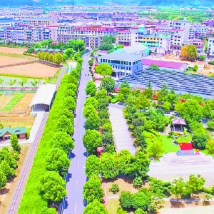 Sxܼl(xing)d(ni)(dng)