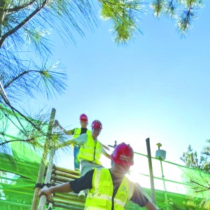 F(xin)O(jin)̎ ̽OġͽoT