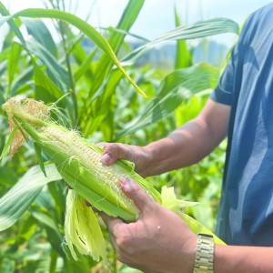 S?qng)DbƼСԺҰ(xi)͡ǻ۴𰸡