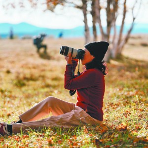 zӰ ҕl  yl(f)_(ki)Ԫģʽ