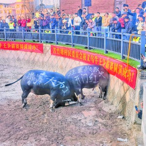 ţ(zhng)ِӭ́ áƷţ_Ļ